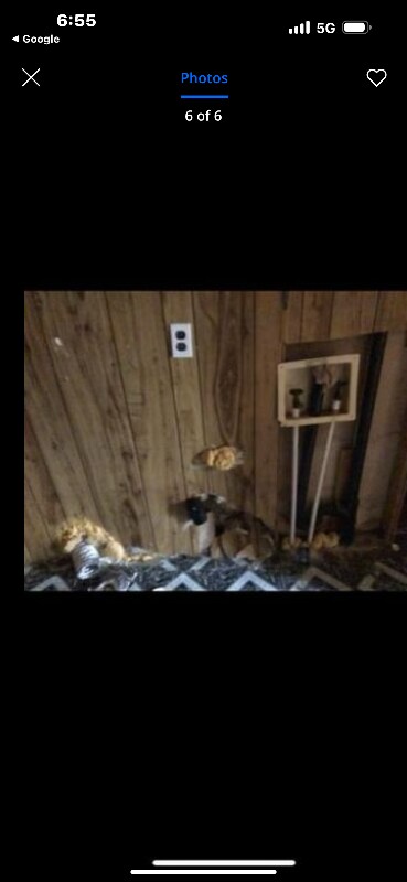 Photo - 397 Old Woodbury Rd House