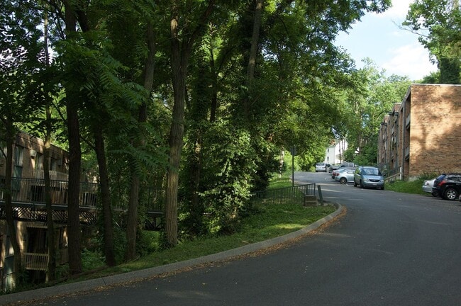 Photo - Clifton Woods