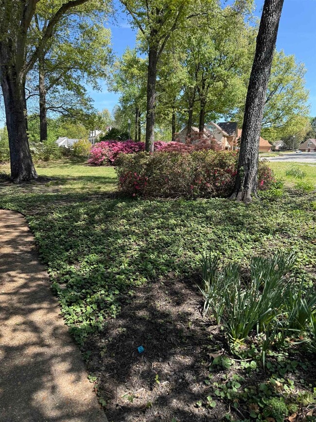 Photo - 2805 Morning Woods Dr