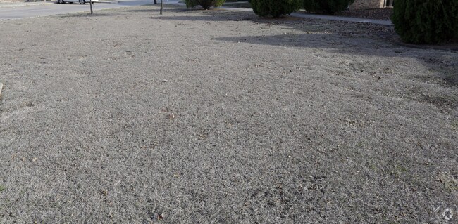 Photo - Regal Apartments