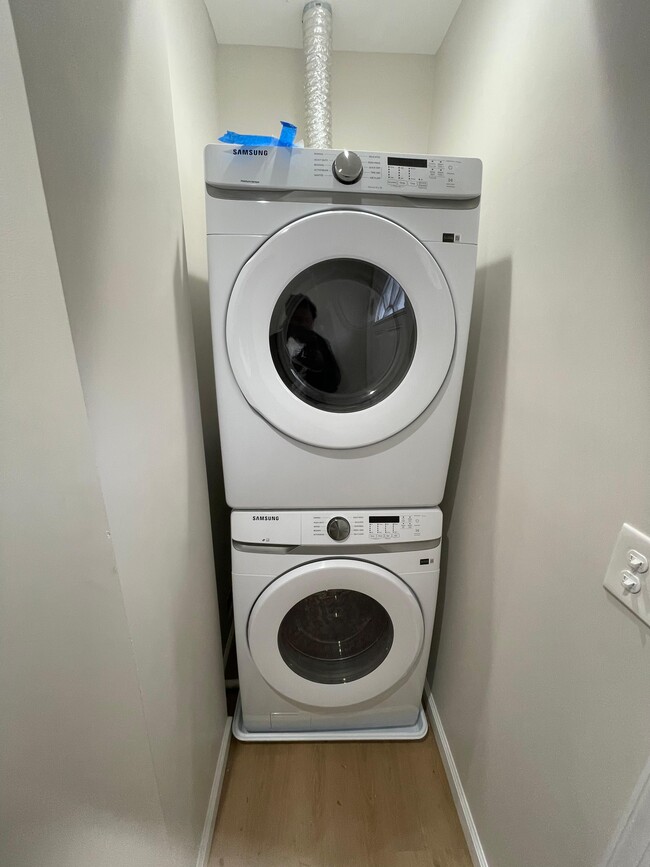 Photo - S. Carey - B