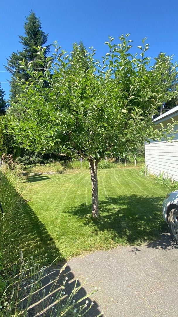 Photo - Lakeview Property in Hauser