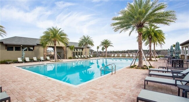 Photo - 2926 Black Birch Dr