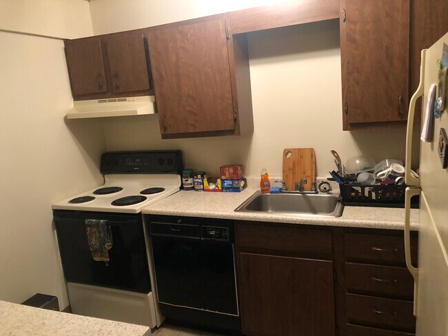 Photo - Pebble Creek