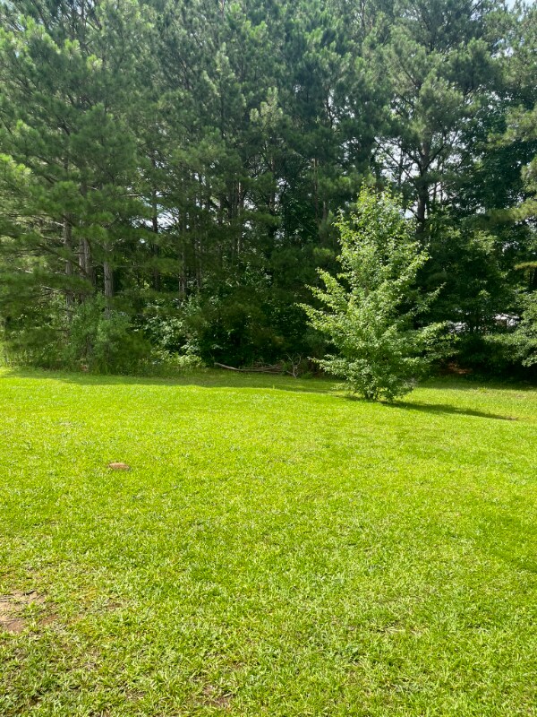 Photo - 108 Jay Ln Unidad B