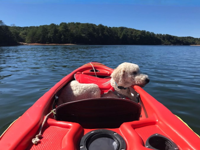 Photo - 124 Lake Shore Dr