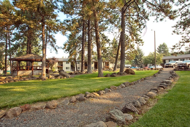 Photo - Awbrey Pines on the Butte