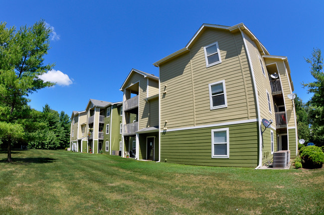 Forest View - Forest View Apartments