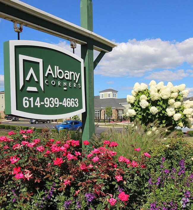 Building Photo - Albany Corners Rental