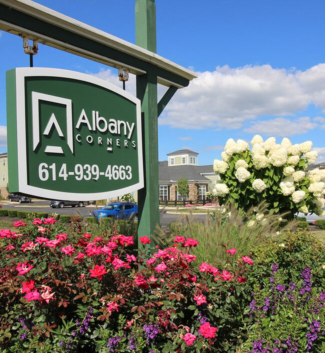 Albany Corners - Albany Corners Apartments