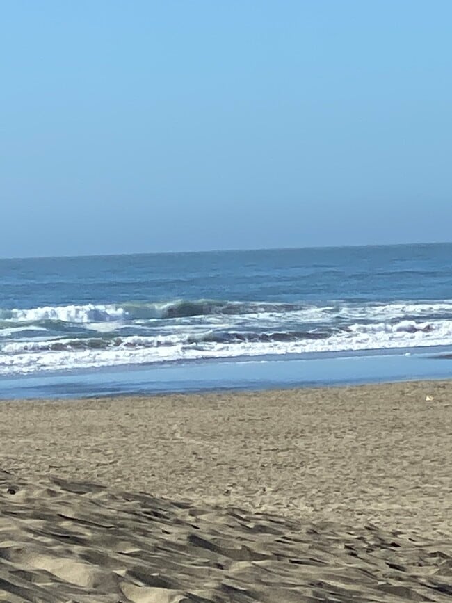 Photo - 1335 46th Ave