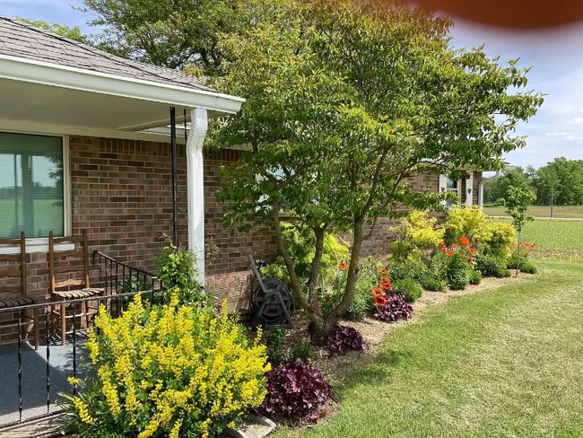 Photo - 286 Co Rd 150S