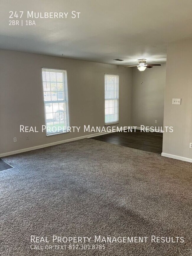 Photo - 247 Mulberry St