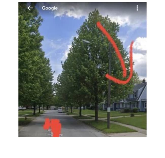 Photo - 17100 Maple Heights Blvd