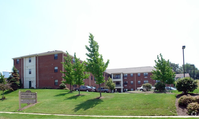 Photo - Angelique Woods