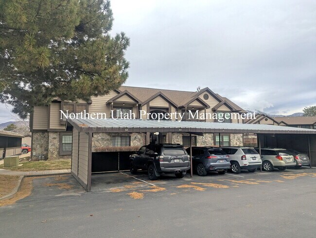 Photo - 2 Bed 1 Bath with AC Unit 40