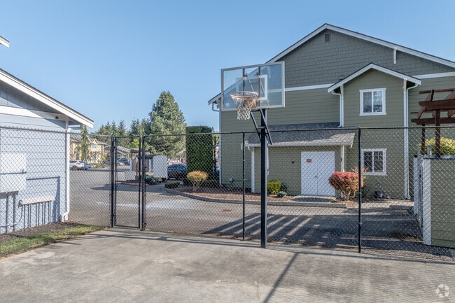 Basketball Court