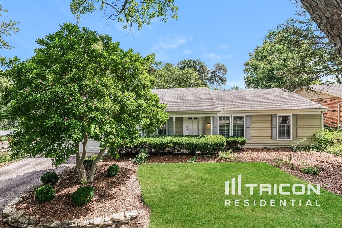 Photo - 611 Cottonwood Rd House