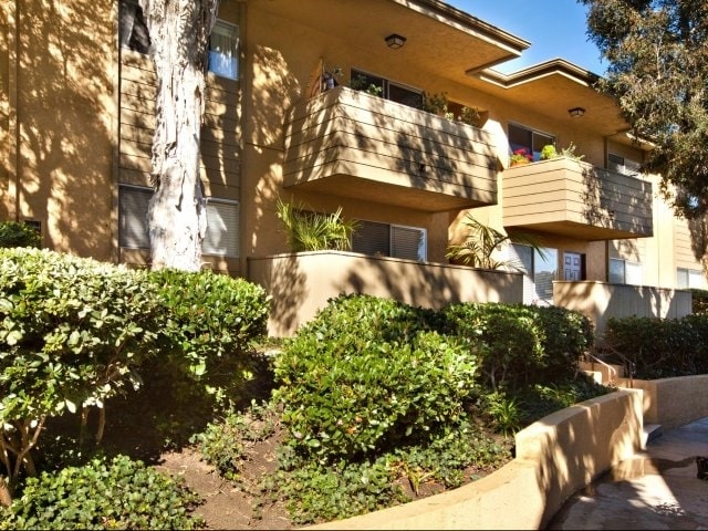 Elan Solana Pointe