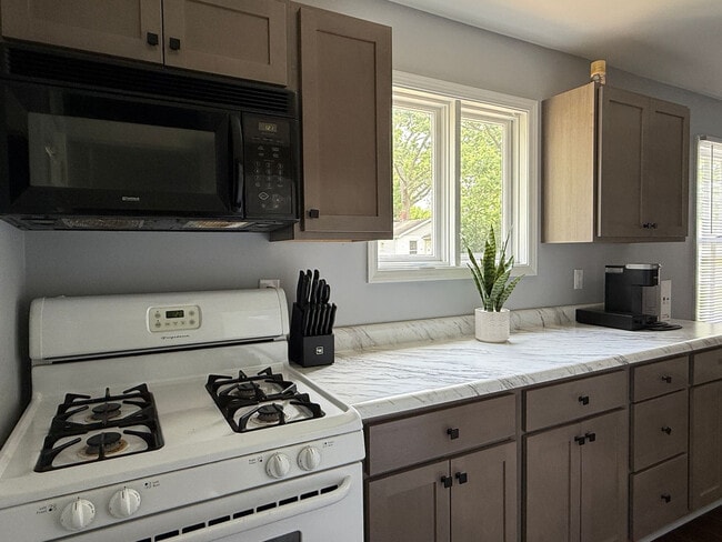 Photo - 501 N Dickson St Unit ID1328958P