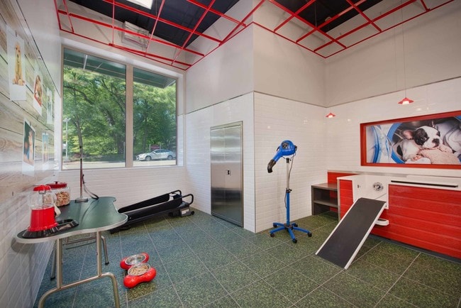 Pet room