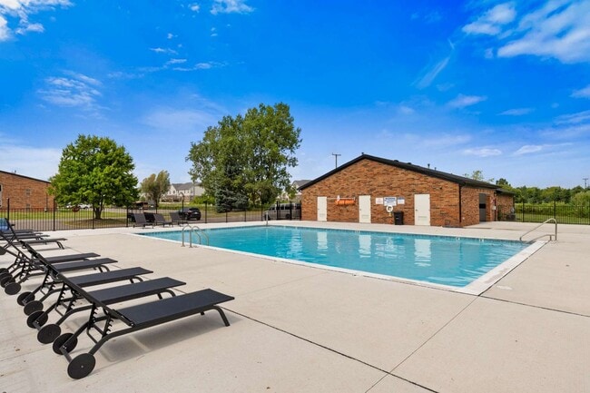 Photo - Stony on Van Dyke