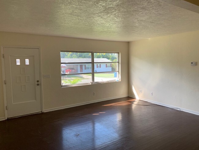 Living room - 127 W Palmetto Ave