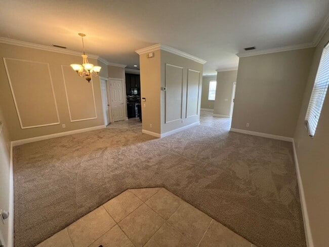 Photo - Country Chase