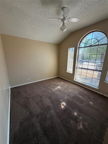 425 Horse Shoe Bend