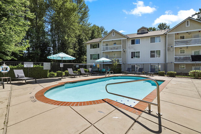 Photo - Salmon Run at Perry Creek