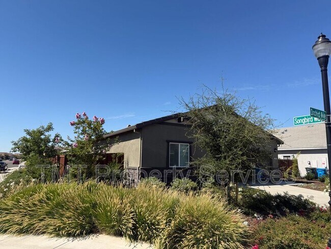 1705 Orchid Ave