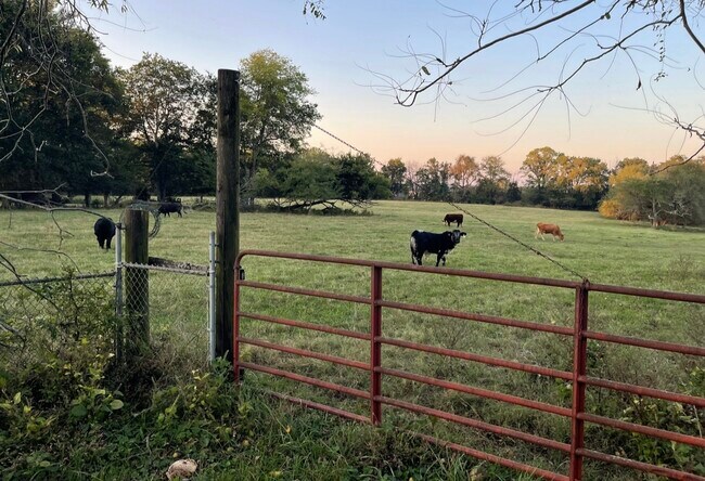 Photo - 2402 Pembroke Rd