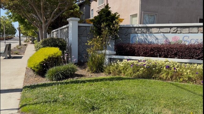 Photo - 923 Ferro Dr