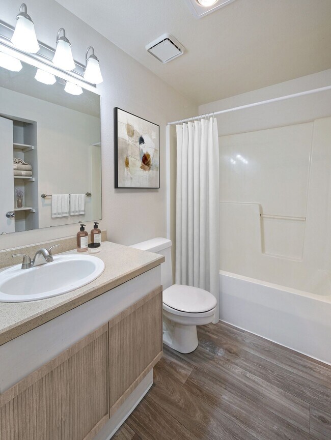 Photo - Madrona Park