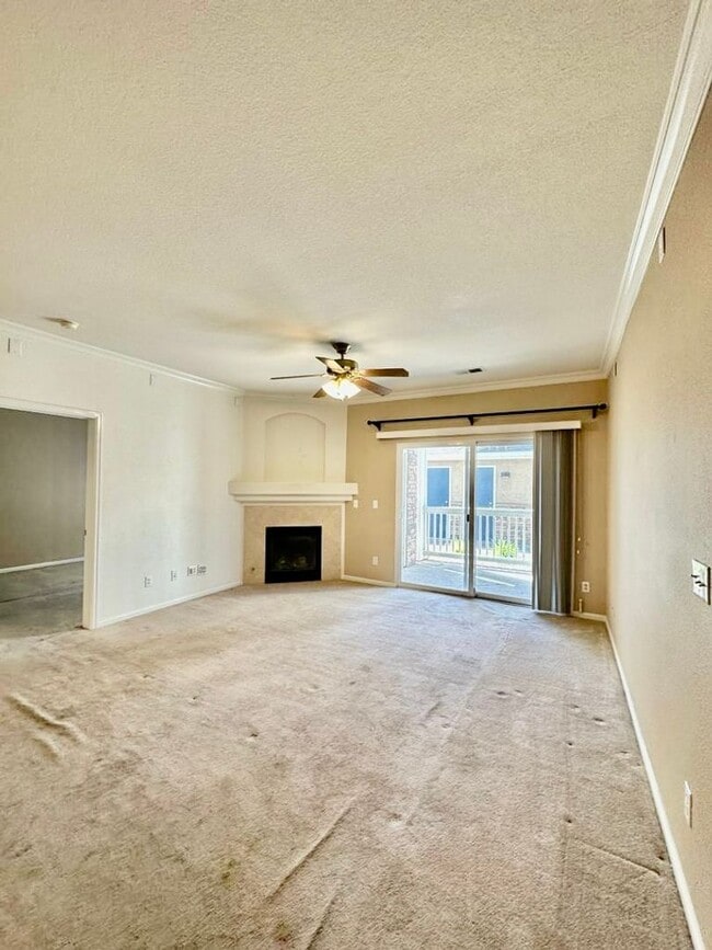 Building Photo - 2-bedroom  condo near Lowry Park your home!!!! Unit 8104
