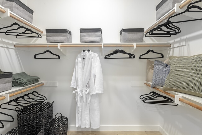 TDC_ALVARADO_11 - Atlas Alvarado