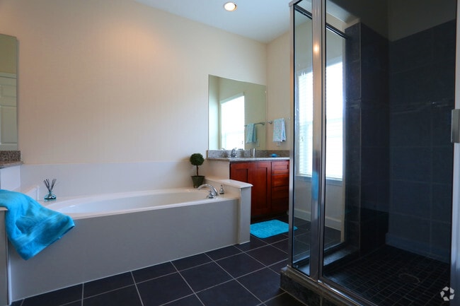 Bath/Stand In Shower