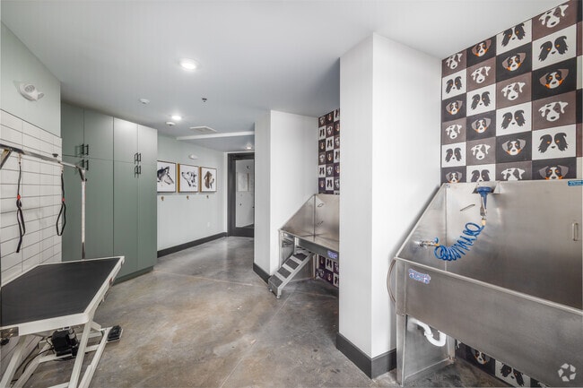 Pet Washing Station - Vista at Summit