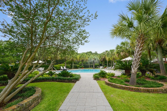 Photo - The Patrician