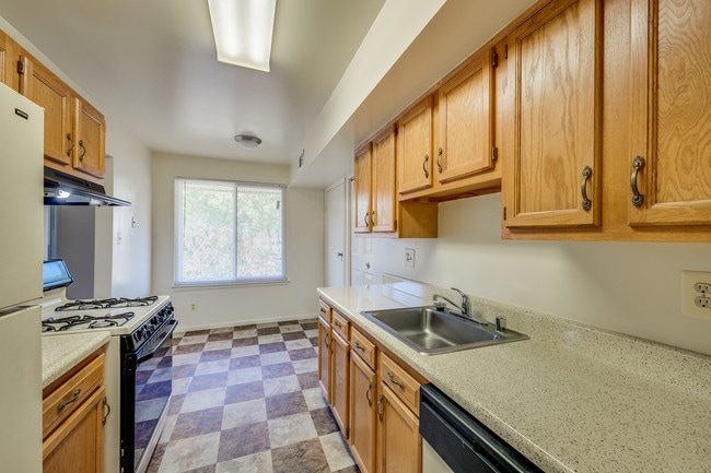 Photo - Shady Grove Apartments