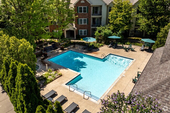 Piscina - Lake Village of Fairlane