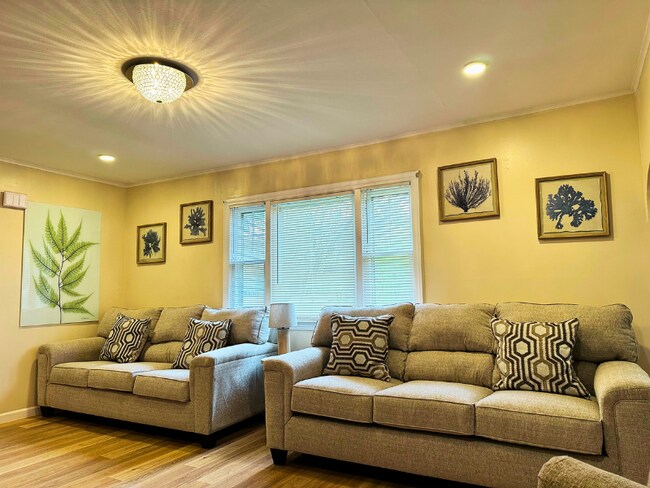 Cozy Couches - 8 River Rd