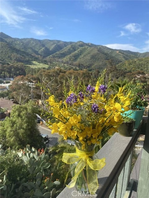 Photo - 113 Tremont St