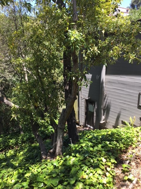 Photo - 58 Roble Rd Unit Detached Cottage