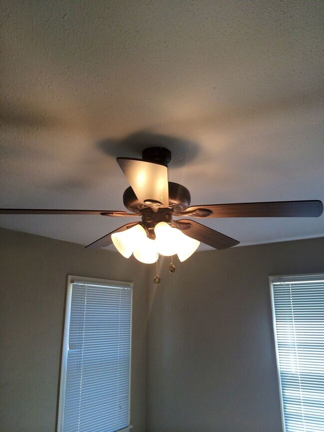 4 Bedroom 2 Bath in the Medical District! House House Rental in