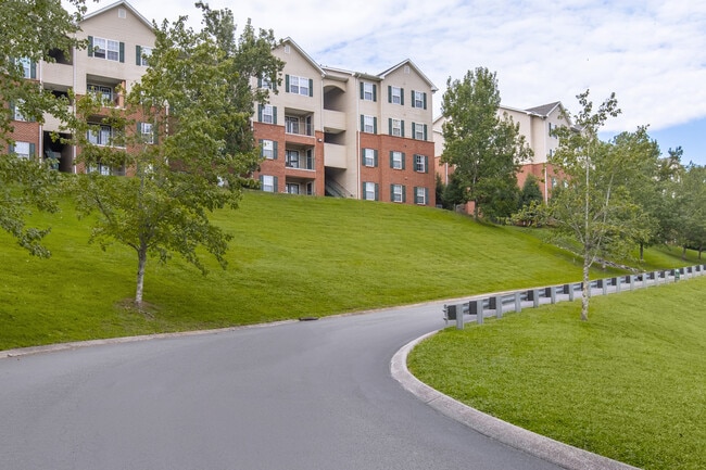 Dogwood Place