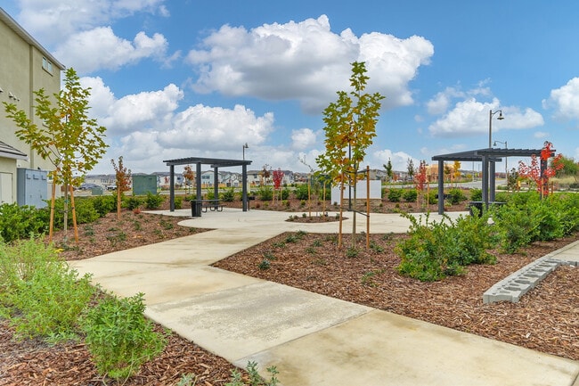 Gardens at Bella Breeze