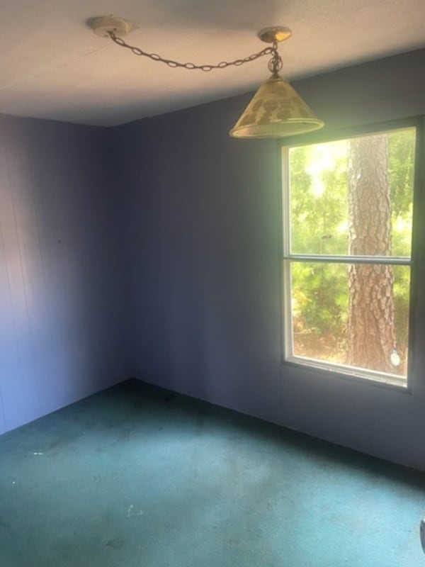Photo - 127 Emily St