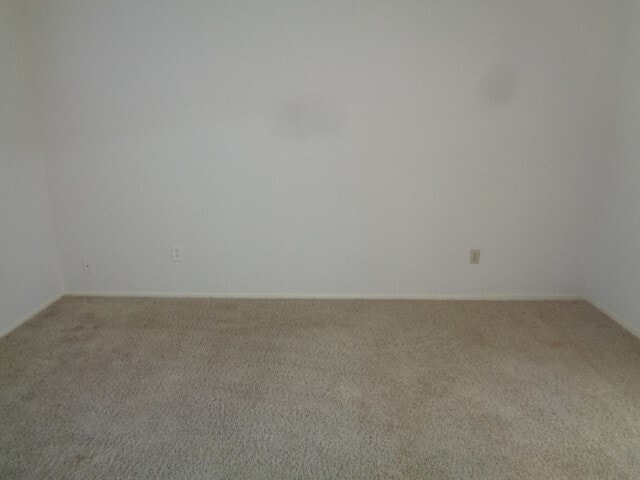 Photo - 19806 Rustlewood Dr