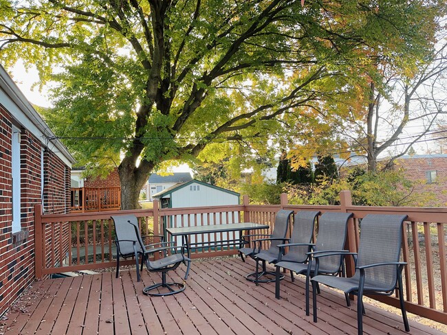 Photo - 546 Larkspur St